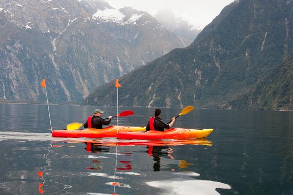 A gentle kayak trip in Milford Sound with Southern Discoveries